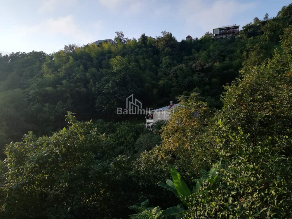 Fərdi ev 2501 m² - Akaki Şainidze, Khelvachauri, Gürcüstan