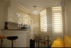 Mənzil 1-комн 29 m² - Zuraba Qorqiladze, Batumi
