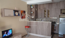Mənzil 3-комн 64 m² - Şalva İnasaridze, Batumi