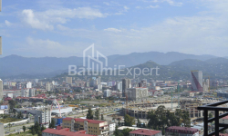 Mənzil 1-комн 31 m² - Niko Pirosmani, Batumi
