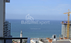 Mənzil 1-комн 33 m² - Niko Pirosmani, Batumi