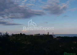 Torpaq sahəsi 300 m² - Yurievskaya, Batumi