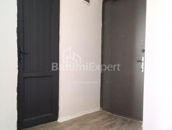 Mənzil 2-комн 48 m² - Aleksandra Puşkin, Batumi
