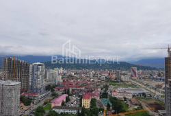 Mənzil 2-комн 45 m² - Zuraba Qorqiladze, Batumi