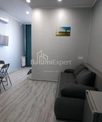 Mənzil 19-комн 34 m² - Niko Pirosmani, Batumi