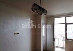 Mənzil 1-комн 46 m² - İlya Çavçavadze, Batumi