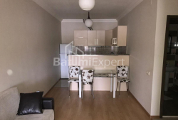 Mənzil 2-комн 45 m² - İvane Cavaxişvili, Batumi