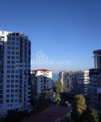 Mənzil 2-комн 35 m² - Niko Pirosmani, Batumi