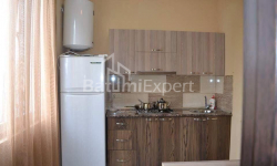 Mənzil 3-комн 43 m² - Alexandra Griboedova, Batumi