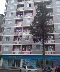 Mənzil 3-комн 47 m² - Fridion Xalvaşi, Batumi