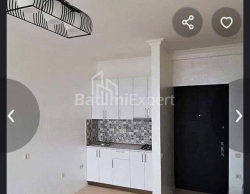 Mənzil 2-комн 45 m² - İlya Çavçavadze, Batumi