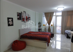 Mənzil 1-комн 50 m² - Niko Pirosmani, Batumi