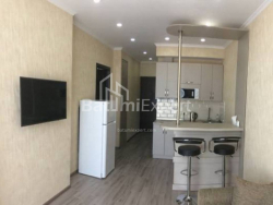 Mənzil 48.2 m² - Şalva İnasaridze, Batumi, Gürcüstan