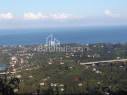 Fərdi ev 6-комн 5000 m² - Mezqvarta, Chakvi