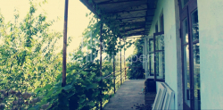 Fərdi ev 3065 m² - Ağmaşenebeli, Chakvi, Gürcüstan