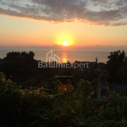 Fərdi ev 6-комн 4000 m² - David Agmashenebeli, Kobuleti