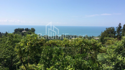 Fərdi ev 4000 m² - David Agmashenebeli, Kobuleti, Gürcüstan