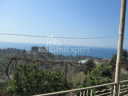 Fərdi ev 6-комн 4000 m² - David Agmashenebeli, Kobuleti