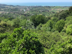 Fərdi ev 2255 m² - Ağmaşenebeli, Chakvi, Gürcüstan
