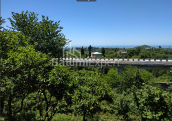 Torpaq sahəsi 536 m² - Ağmaşenebeli, Chakvi
