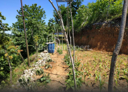 Torpaq sahəsi 536 m² - Ağmaşenebeli, Chakvi
