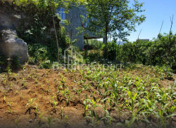 Torpaq sahəsi 536 m² - Ağmaşenebeli, Chakvi, Gürcüstan