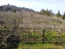 Torpaq sahəsi 4260 m² - David Agmashenebeli, Kobuleti, Gürcüstan