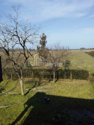 Torpaq sahəsi 4260 m² - David Agmashenebeli, Kobuleti