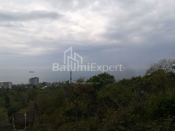Torpaq sahəsi 1000 m² - Axalgazrdoba, Makhinjauri