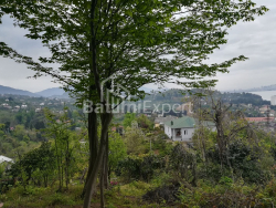 Torpaq sahəsi 1000 m² - Axalgazrdoba, Makhinjauri
