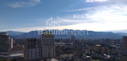 Mənzil 1-комн 31.3 m² - Şalva İnasaridze, Batumi