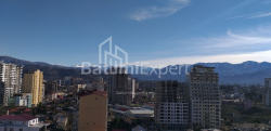 Mənzil 1-комн 31.3 m² - Şalva İnasaridze, Batumi
