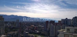 Mənzil 1-комн 31.3 m² - Şalva İnasaridze, Batumi