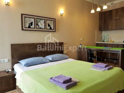 Mənzil 1-комн 29 m² - Zuraba Qorqiladze, Batumi