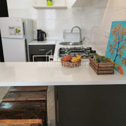 Mənzil 1-комн 29 m² - Zuraba Qorqiladze, Batumi