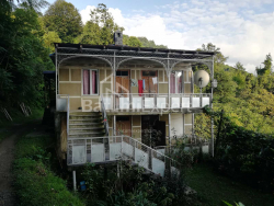 Fərdi ev 4-комн 2501 m² - Akaki Şainidze, Khelvachauri