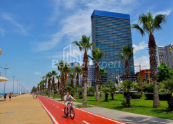 Mənzil 2-комн 50 m² - Şerif Ximşiaşvili, Batumi