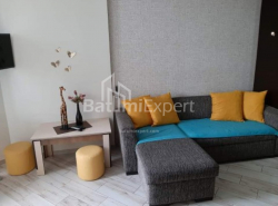 Mənzil 2-комн 35.6 m² - Niko Pirosmani, Batumi