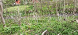 Ticarət sahəsi 401 m² - Mezqvarta, Chakvi, Gürcüstan