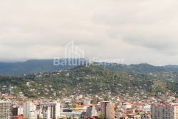 Mənzil 52.5 m² - Ekvtime Takaişvili, Batumi, Gürcüstan