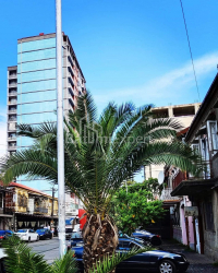 Mənzil 80 m² - İlya Çavçavadze, Batumi, Gürcüstan