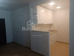 Mənzil 46 m² - Niko Pirosmani, Batumi, Gürcüstan