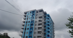 Mənzil 2-комн 48.1 m² - Kraliça Tamara, Batumi