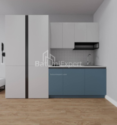 Mənzil 1-комн 30.3 m² - Şalva İnasaridze, Batumi