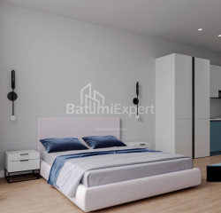 Mənzil 1-комн 30.3 m² - Şalva İnasaridze, Batumi