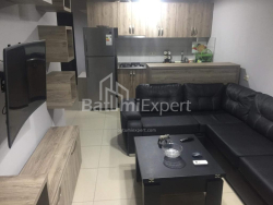Mənzil 2-комн 45 m² - Aleksandra Puşkin, Batumi