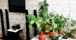 Mənzil 64 m² - Selima Ximşiaşvili, Batumi, Gürcüstan