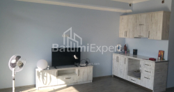 Mənzil 1-комн 47 m² - Axalgazrdoba, Makhinjauri