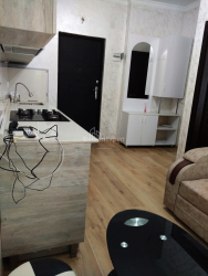 Mənzil 2-комн 29 m² - Şalva İnasaridze, Batumi